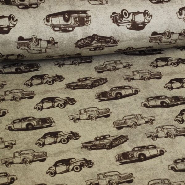 Jogging Alpine fleece Digital Cars