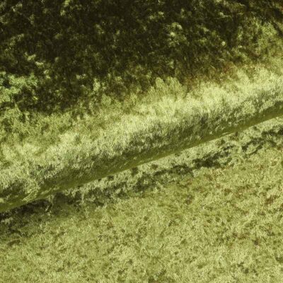 Velours de Panne fabric olive green
