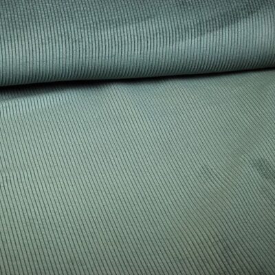 Corduroy fabric dark green