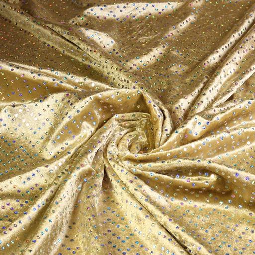Velours de Panne gold with silver hologram sequins