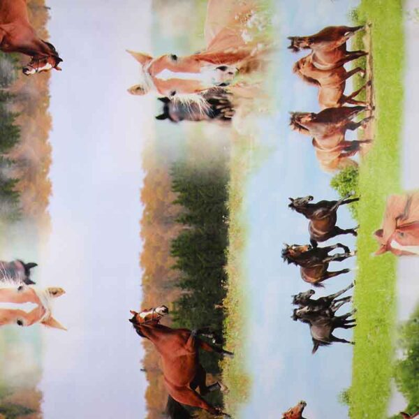 Deluxe tablecloth horses