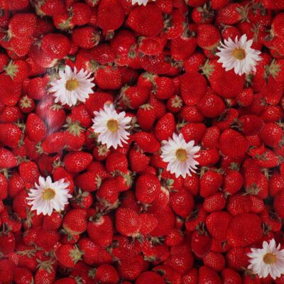 Tafelzeil deluxe strawberry
